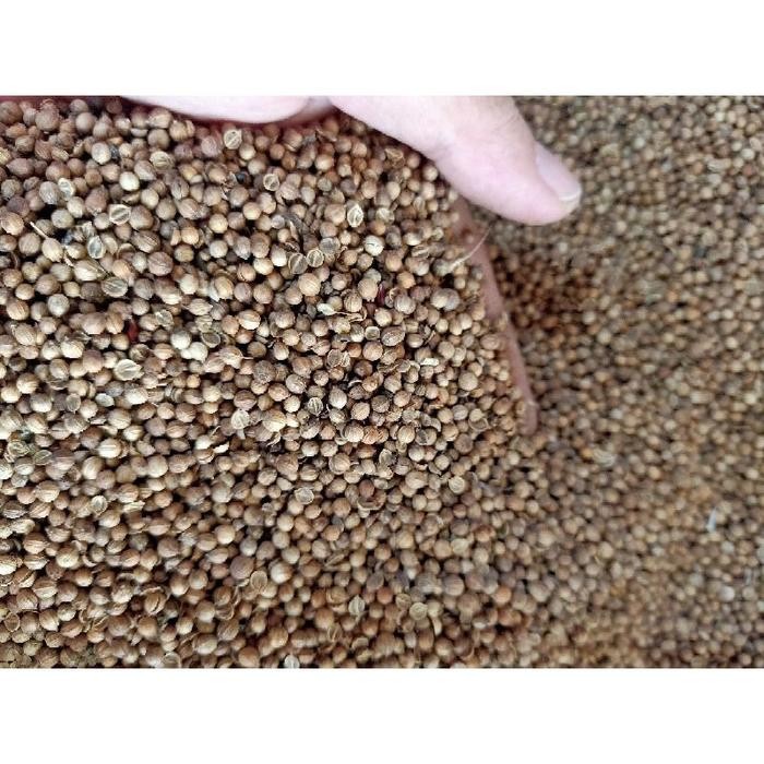 

ready stok ketumbar segar