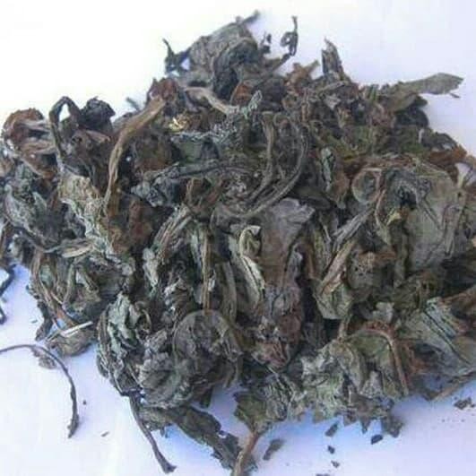 

daun tempuyung kering 500 gram