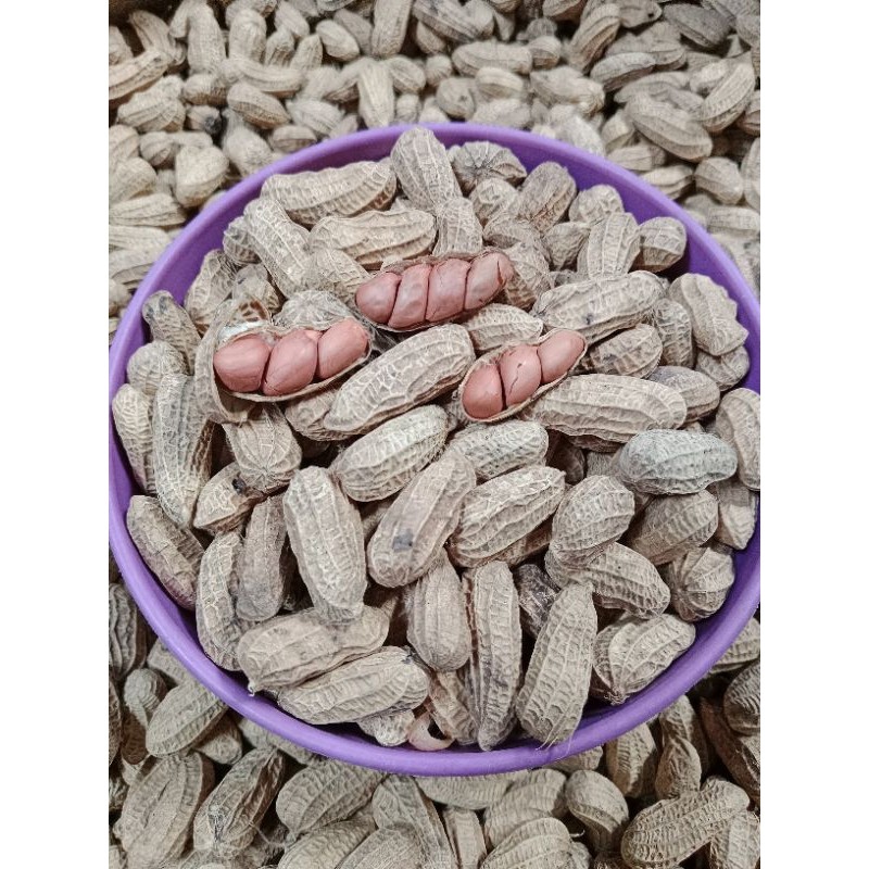 

Kacang Kulit Sangrai cirebon Original//Renyah Gurih