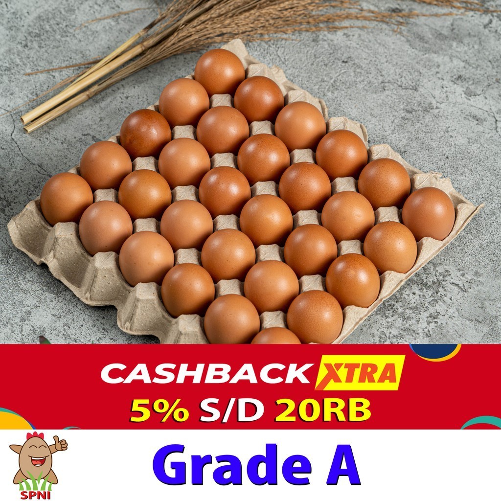 

Telur Ayam SPNI Jumbo (Grade A 30 Butir) Sortiran Mesin 1 Papan
