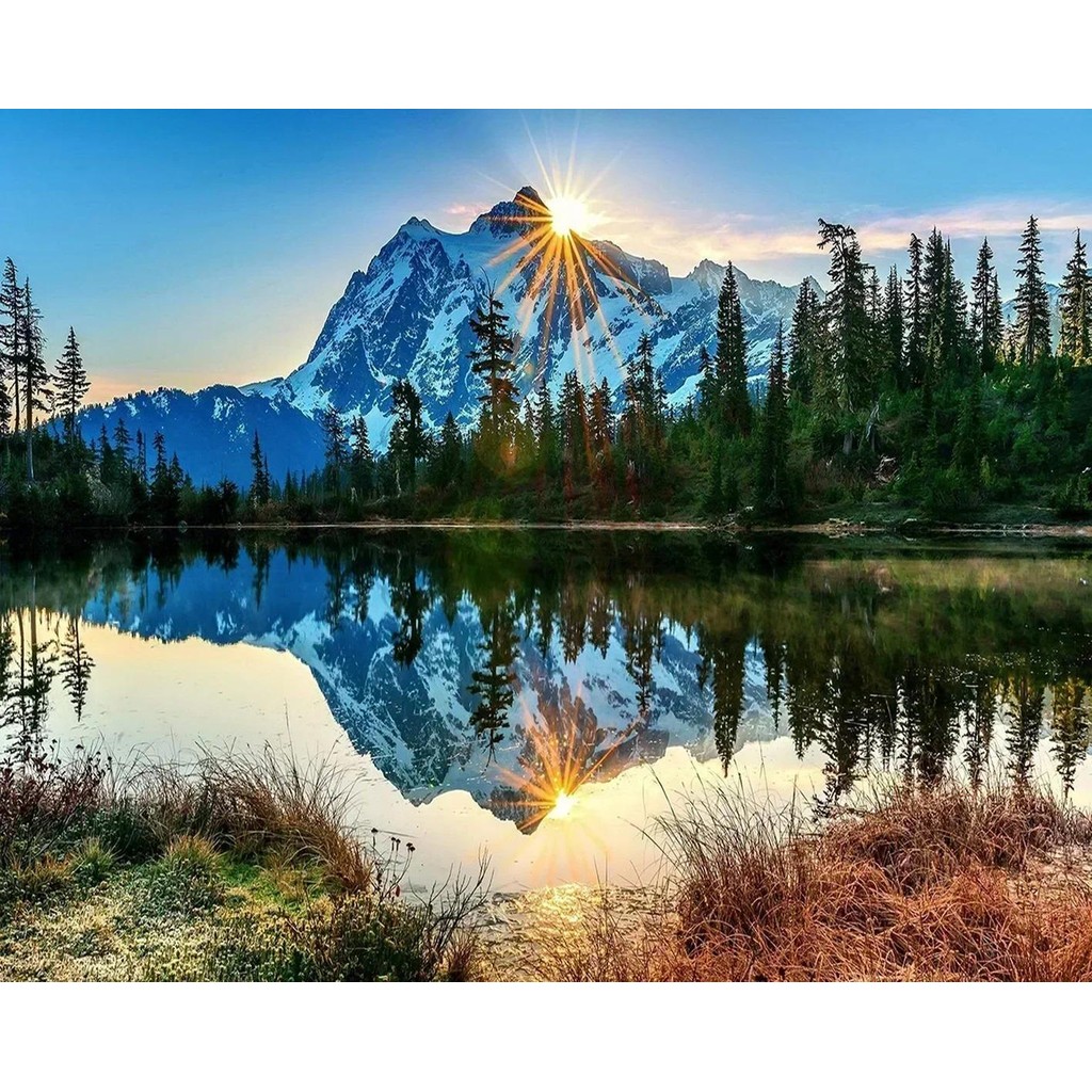 

20993-Tulip diy digital acrylic flower painting explosion hand-filled landscape painting