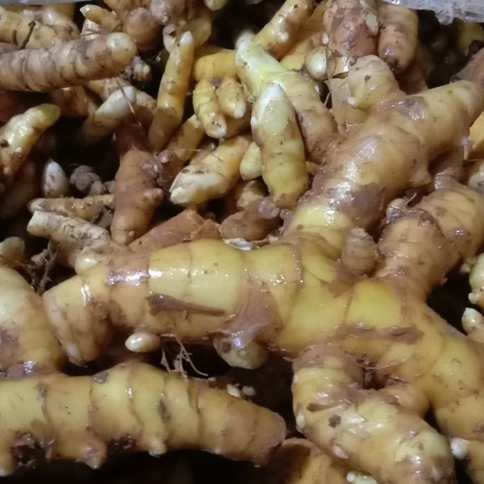 

temu mangga segar Shop with