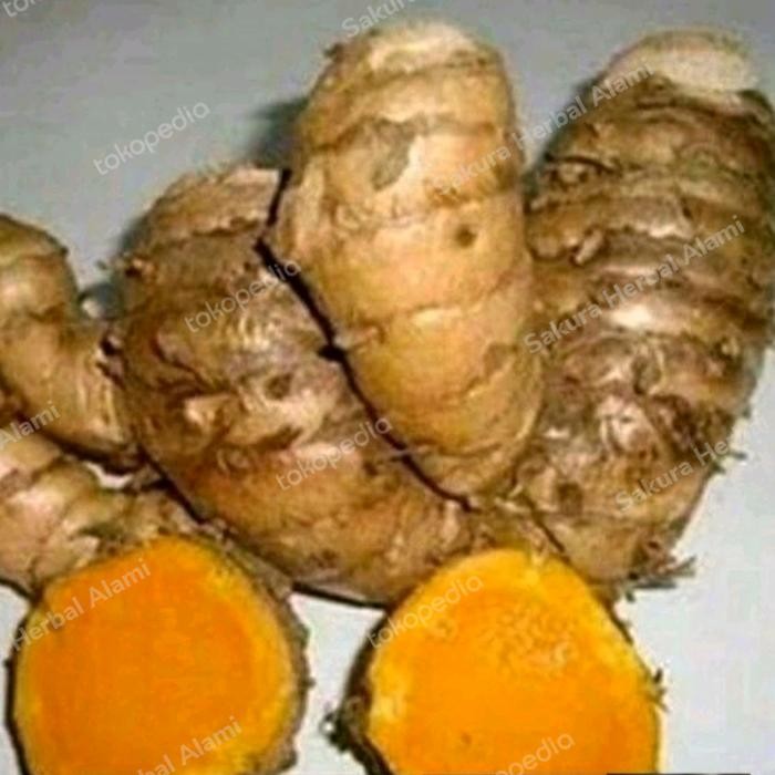 

temulawak segar 1 kg obat herbal Shop with