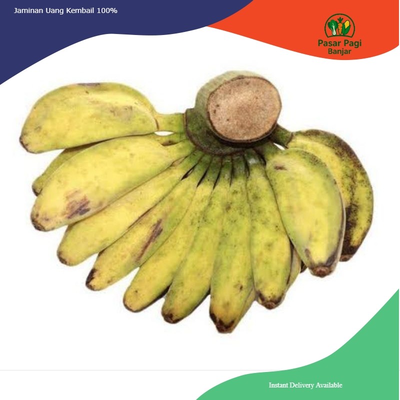 

Pisang Kepok / Pisang Manurun