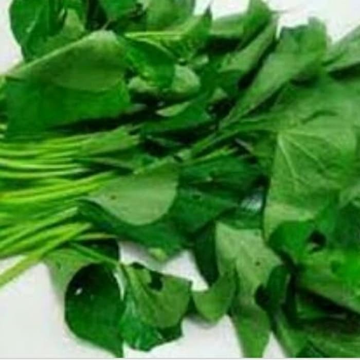 

Daun lobak/ daun umbi jalar - Ready setok sayur sehat