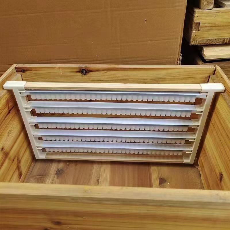 

Double Rows Of Royal Jelly Frames Royal Jelly Bars Plastic Bees Specializing In High-Quality Pulp Extraction Wooden Frames