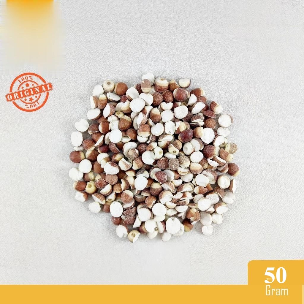 

QIAN SHI (50 GRAM) / SEMEN EURYALIS FEROCIS / FOX NUT / EURYALE SEED QIANSHI KIAMSIT KIAM SIT Untuk kesehatan pencernaan dan ginjal dan antioksidan