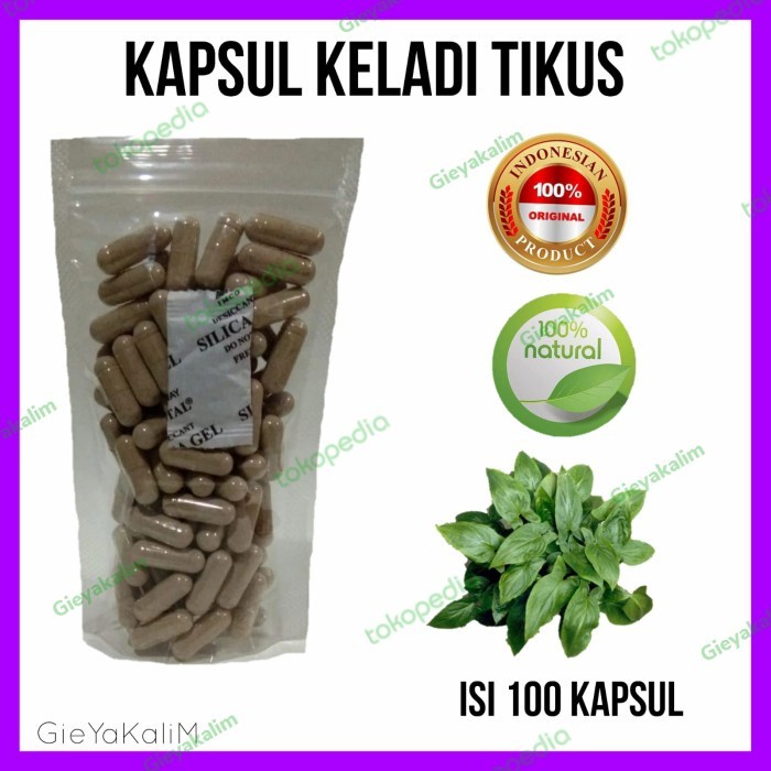 Kapsul KELADI TIKUS Isi 100 Asli