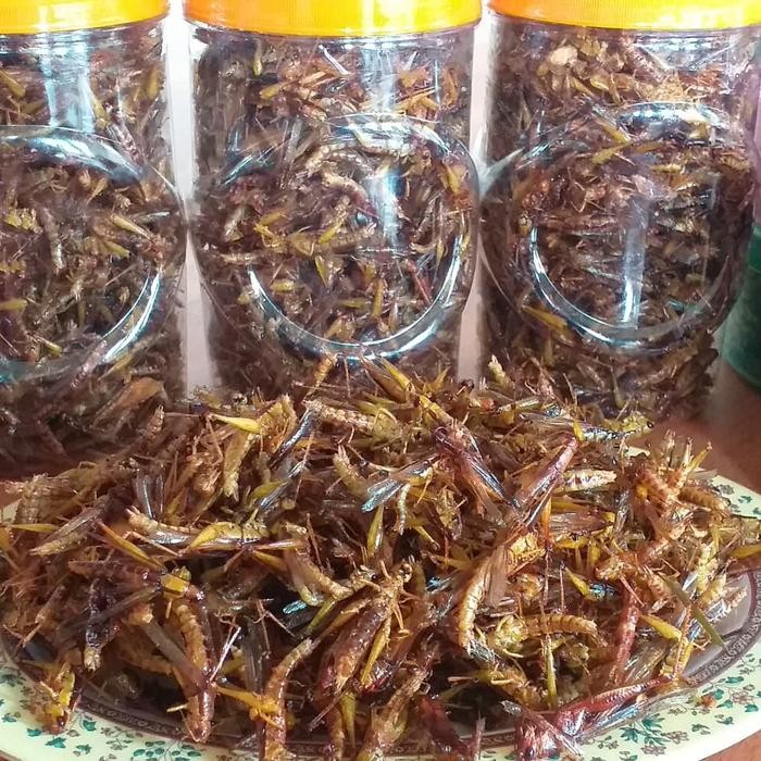 

belalang goreng kemasan toples sonice 50rb an - gurih asin Terlaris