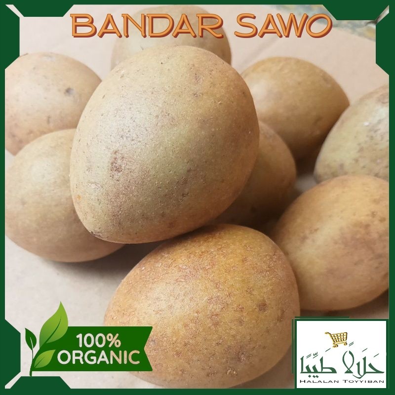 

BANDAR Buah Sawo Madu Super 1kg