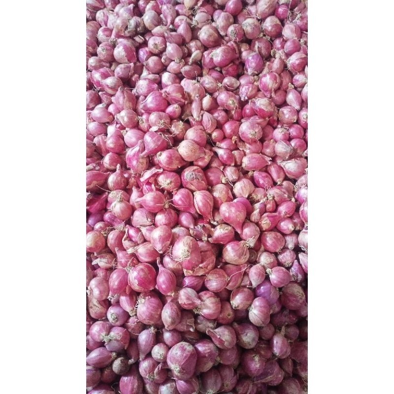 

bawang merah organik 1 kg murah ( campur )
