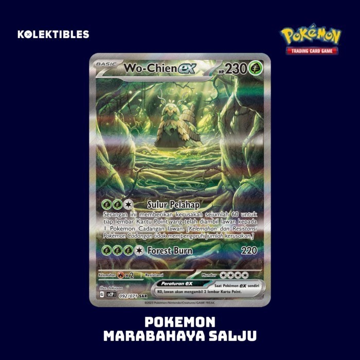 POKEMON INDONESIA - Box - Marabahaya Salju