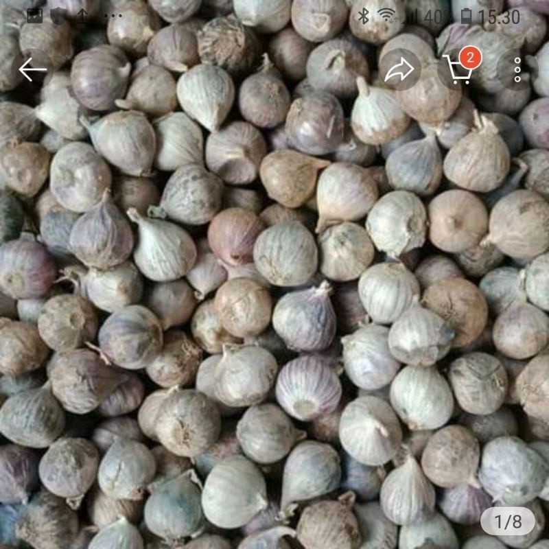 

Bawang Putih Tunggal / Bawang Putih Lanang / Berat 250 Gram