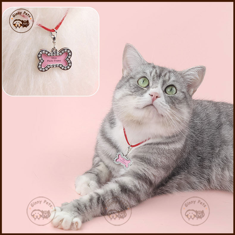 Kucing Anjing Tag Nama Tag untuk Anjing Kalung Liontin Anjing