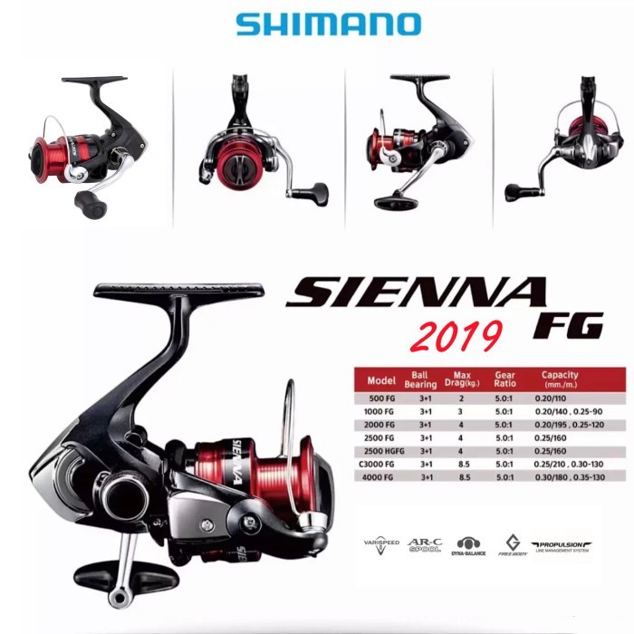 Reel Pancing Spinning Shimano Sienna FG 2019 - 2500
