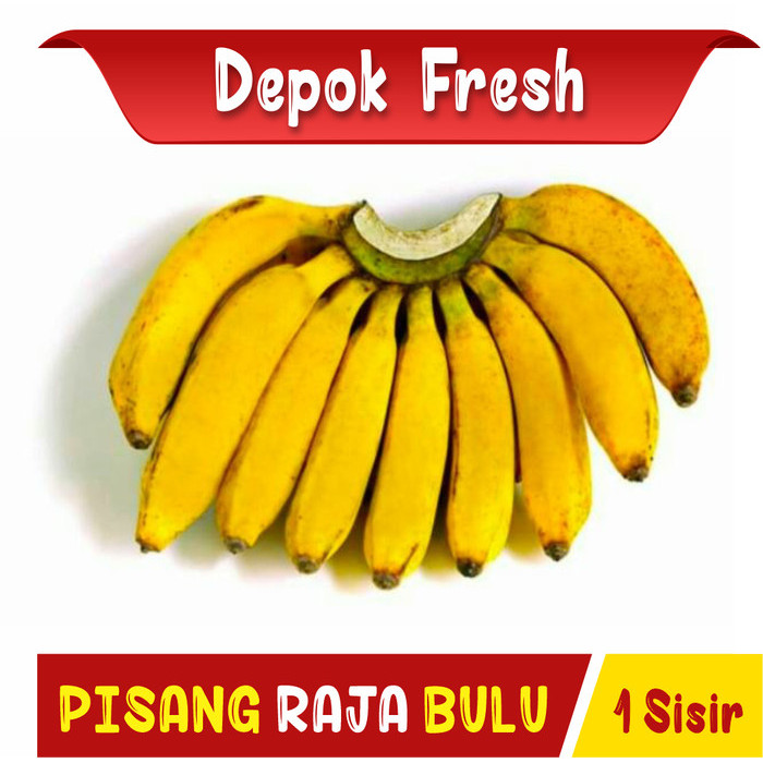 

BUAH PISANG RAJA BULU