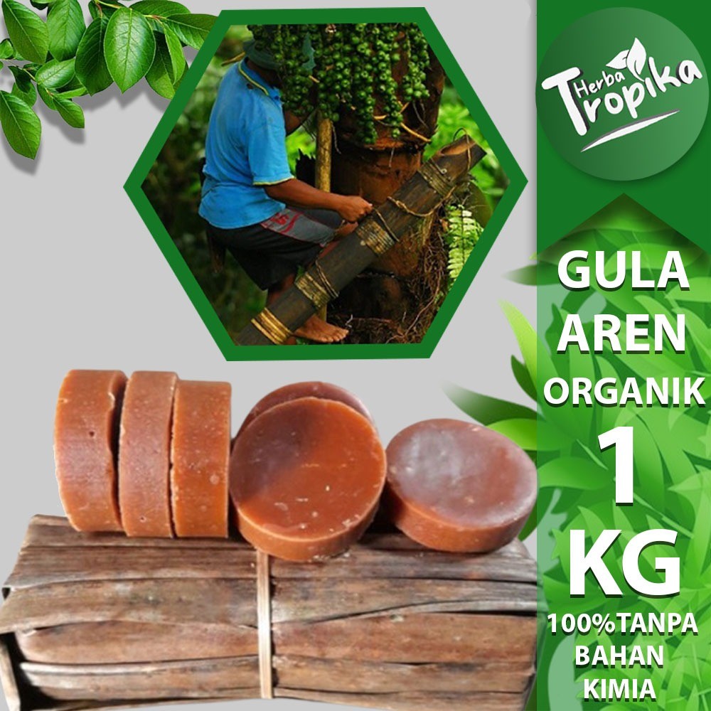 

Gula Aren Organik Premium 1 kg kemasan daun kelapa tua toko herba tropika