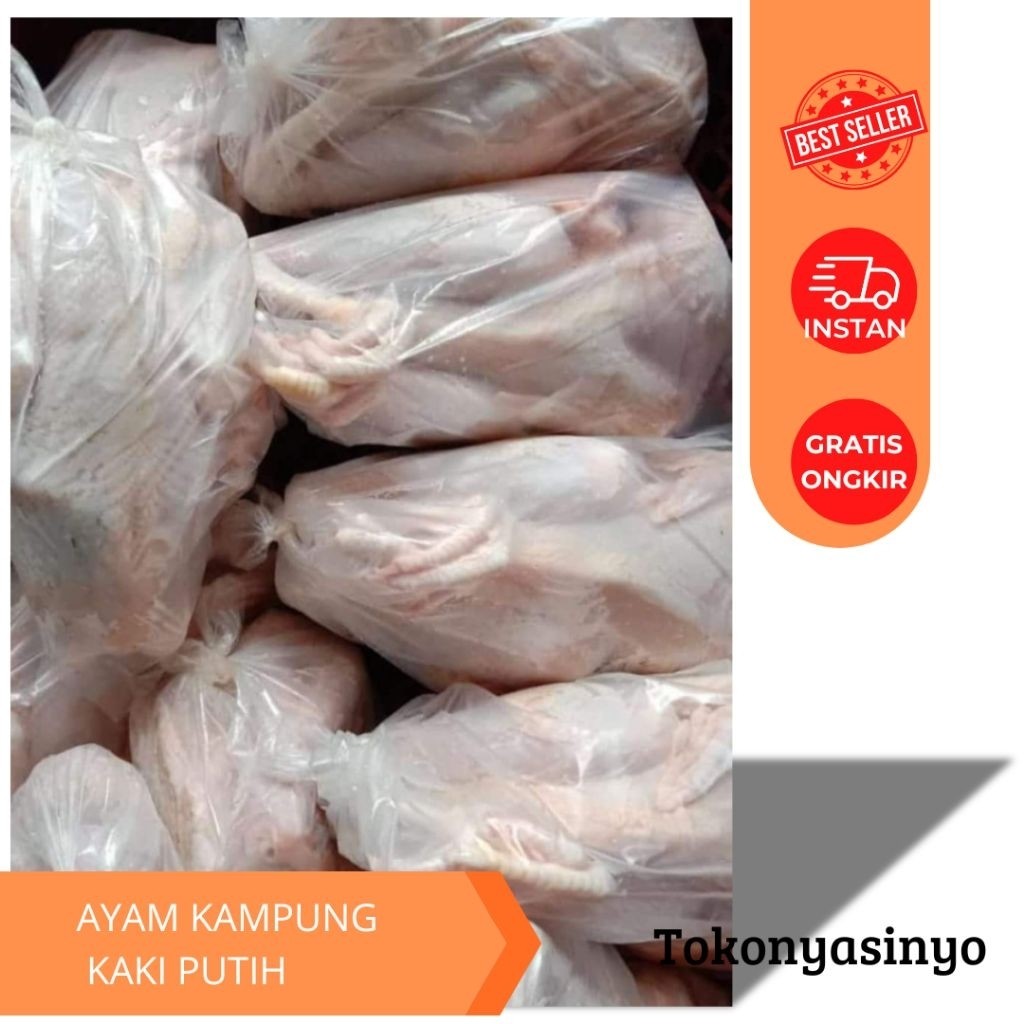 

AYAM KAMPUNG KAKI PUTIH -+ 0.8 KG | CHICKEN WHOLE