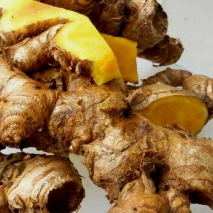 

JUAL BANGLE HERBAL SEGAR