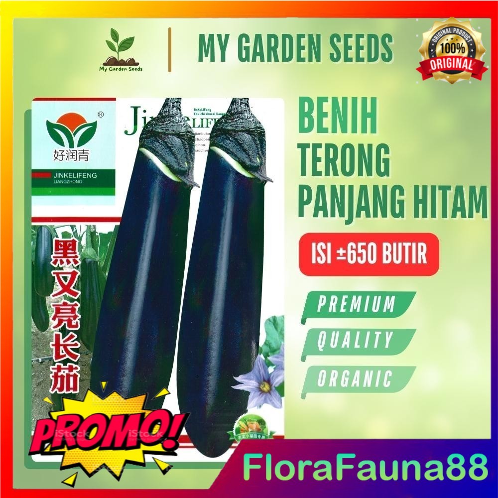1 PACK BENIH TERONG PANJANG HITAM KEMASAN IMPORT 100 BUTIR