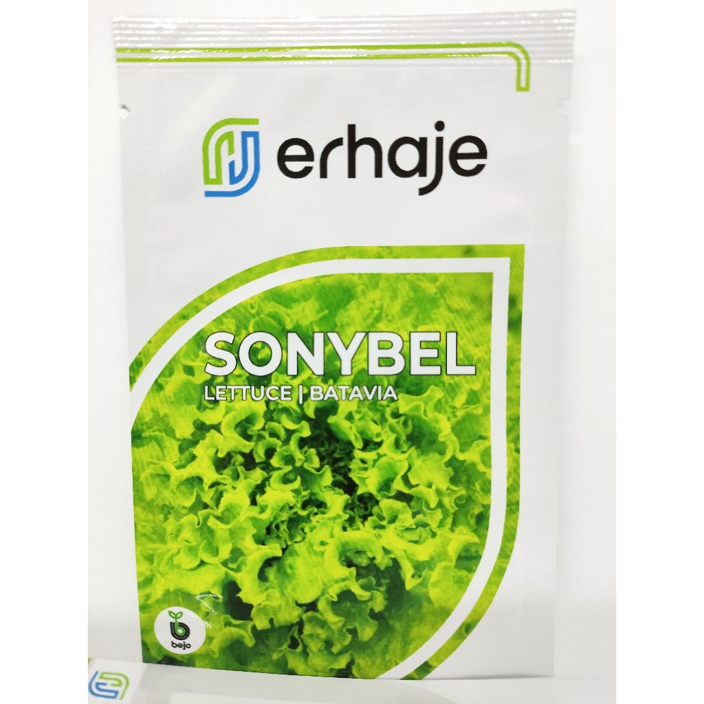 benih biji Selada Sonybel Bejo Seed Tipe Lettuce Batavia Kemasan 1gr pengganti myrtel