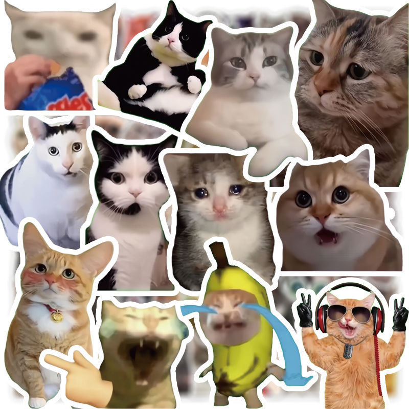 

100 cat meme stickers cute funny ghost animals cats ins wind expression pack is a picture material hand book stickers.