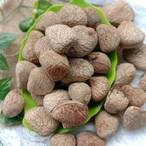 

Biji Pucung/Kepayang/Picung Mentah Utuh 1 Kg