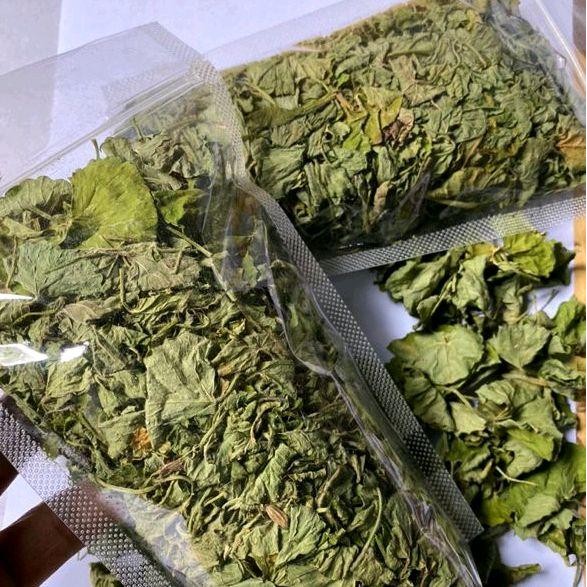 

Daun Pegagan/Antanan Kering 250gr Asli Herbal Alami