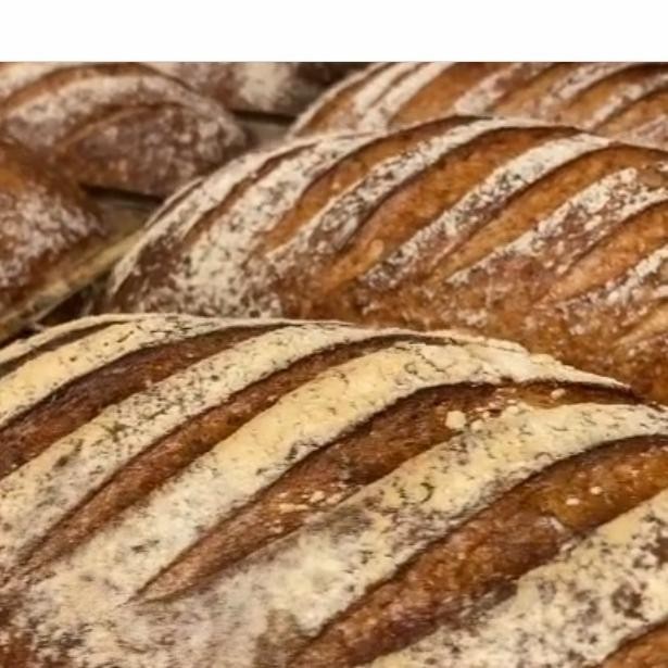 

SOURDOGH RYE LOAF - whole /utuh