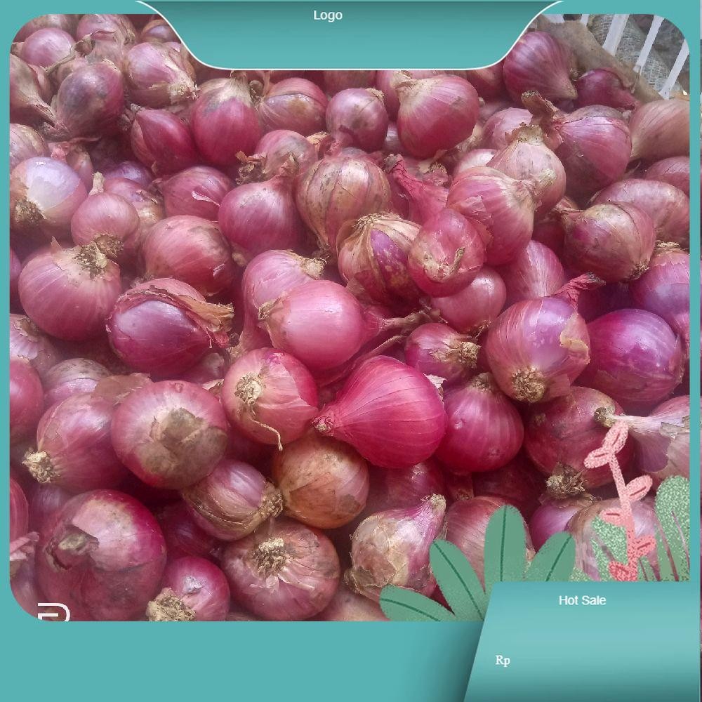 

Bawang Merah Besar kering Kualitas Terbaik