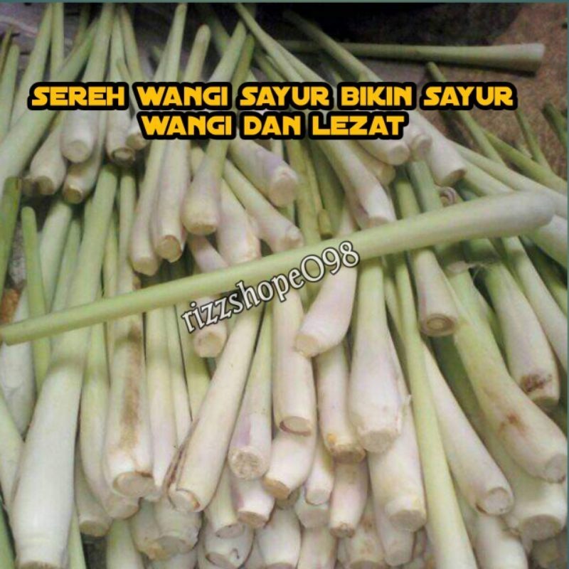

200 GRAM SEREH SAYUR BUMBU MASAKAN SIAP KIRIM SEGAR
