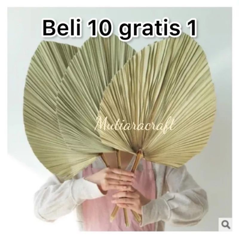 DAUN PALEM JUMBO 35 CM PALEM KERING ((GROSIR BELI 10 GRATIS 1 )) MURAH Daun Palem Kering Daun Palem 