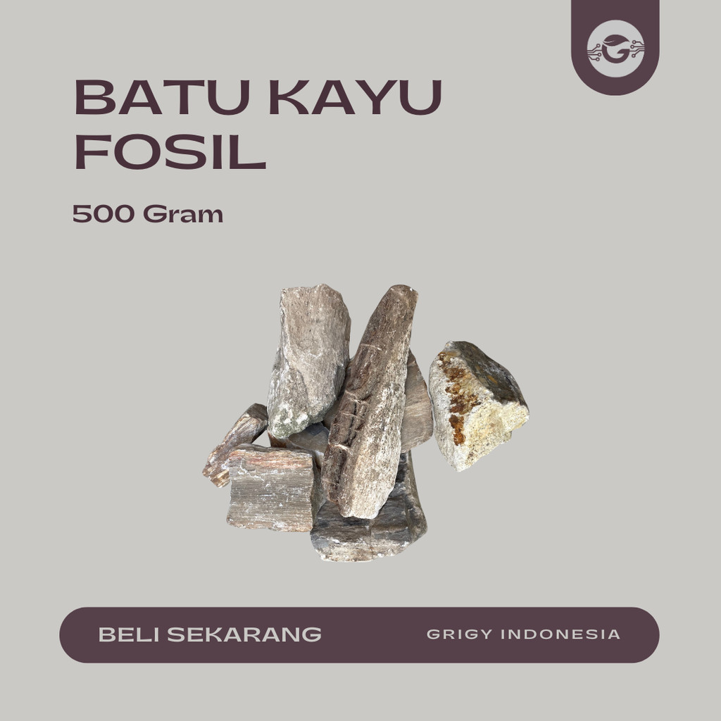 BATU FOSIL KAYU TAMAN DAN AQUASCAPE BERBAGAI MACAM BENTUK-500 GRAM