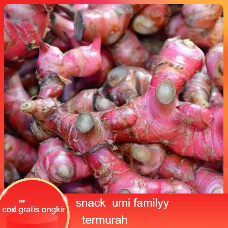 

Promo laos merah / lengkuas merah fresh 500gr