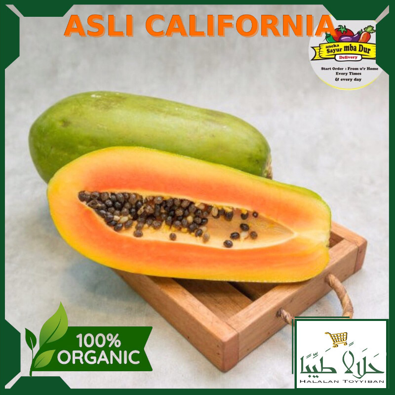 

Termurah Pepaya California 1 Buah