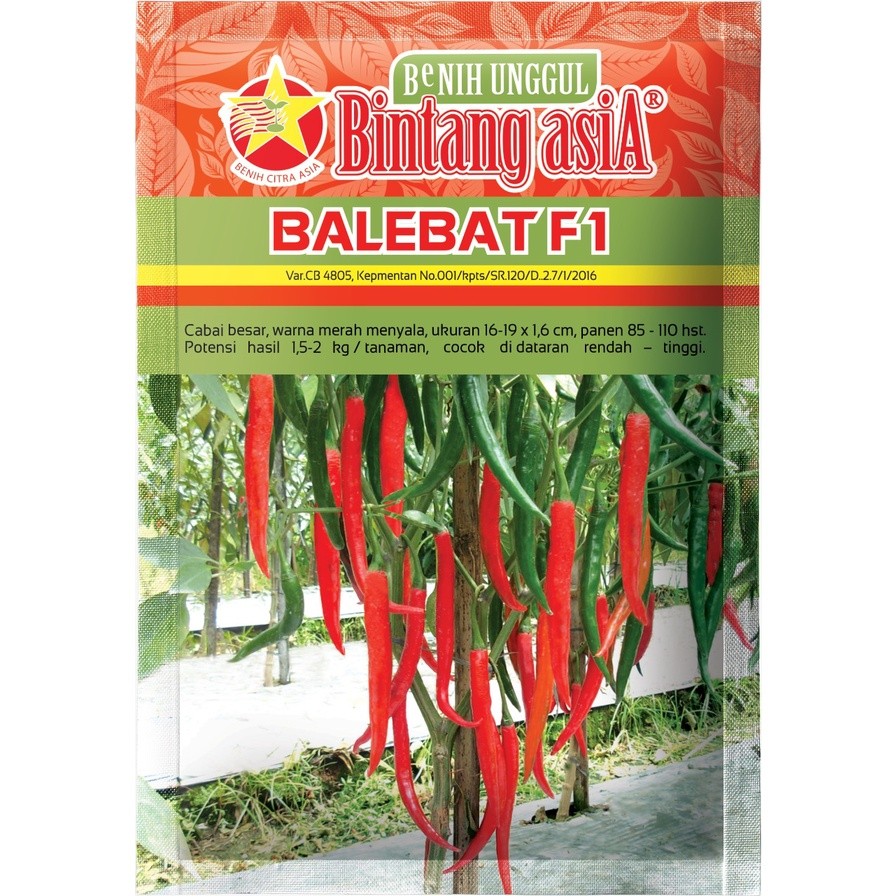 Benih Cabai Cabe Besar BALEBAT F1 10 Gram Cap Bintang Asia PT Benih Citra Asia Warna Merah Menyala C