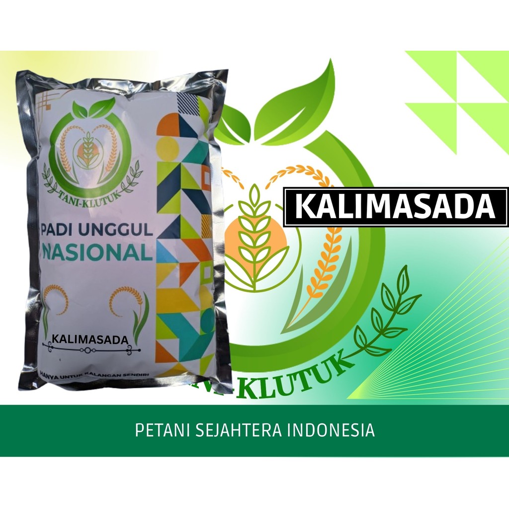 BIBIT/ Biji Padi KALIMASADA Asli Bumi Agro Nusantara 1KG Premium ORIGINAL PRODUK