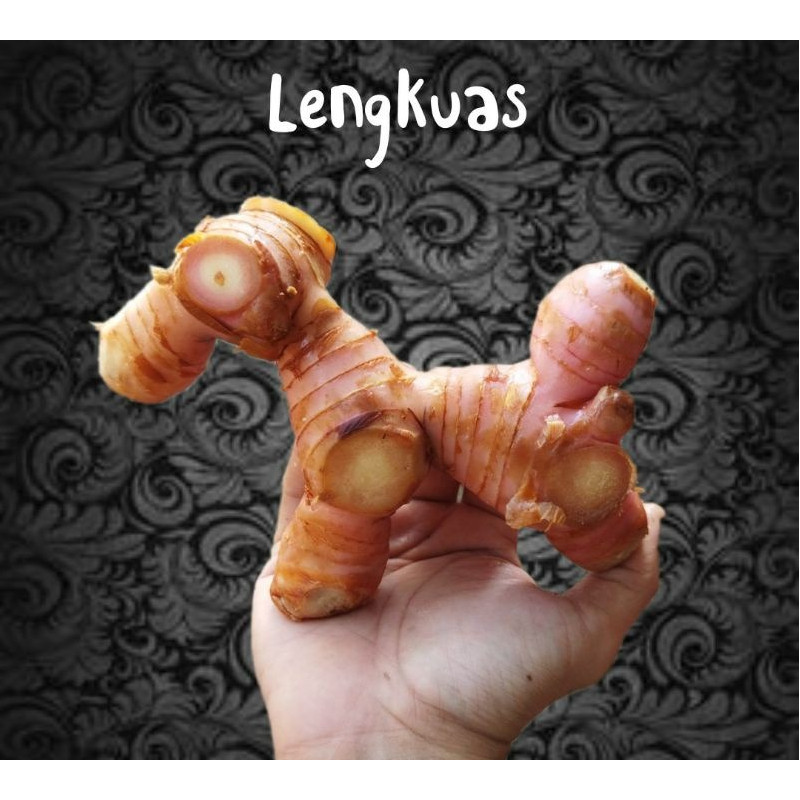 

Lengkuas 1kg Lengoas Muda Merah Laos Segar