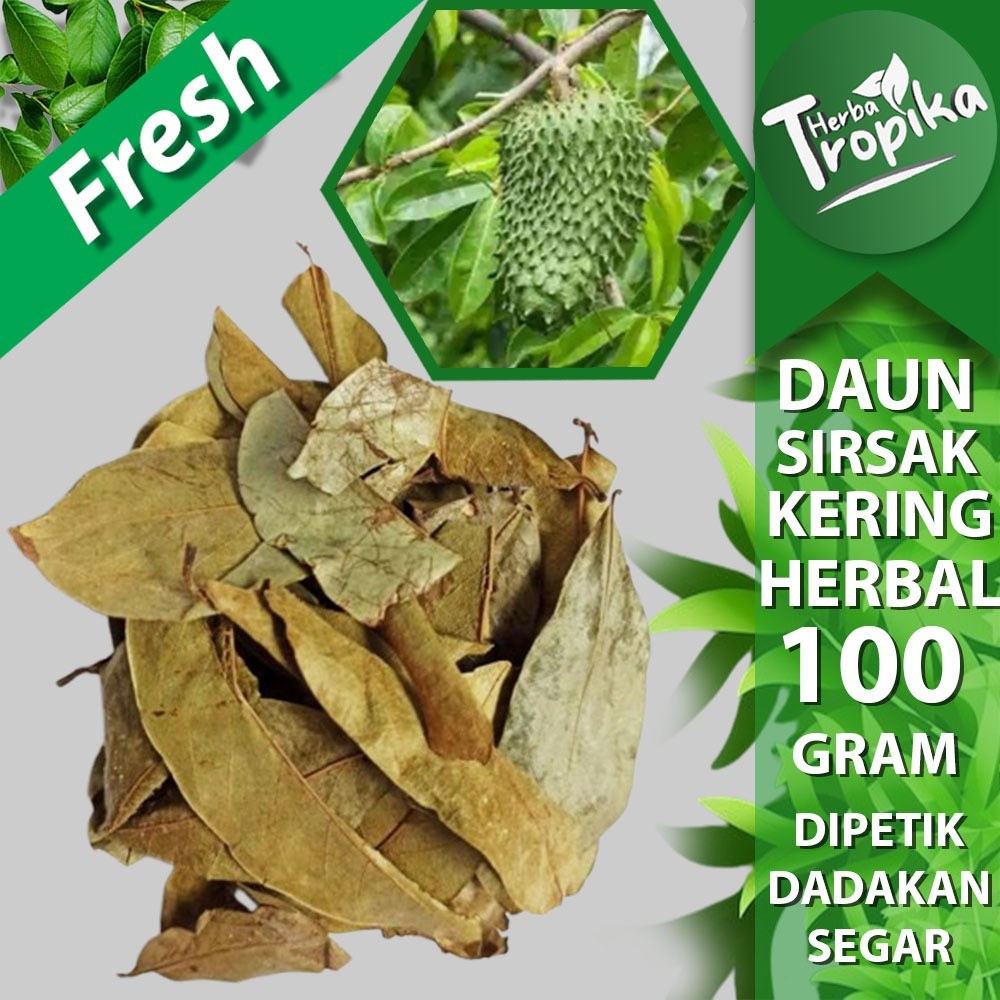 

Daun Sirsak Kering 100 gram Obat herbal alami tokko herba tropika