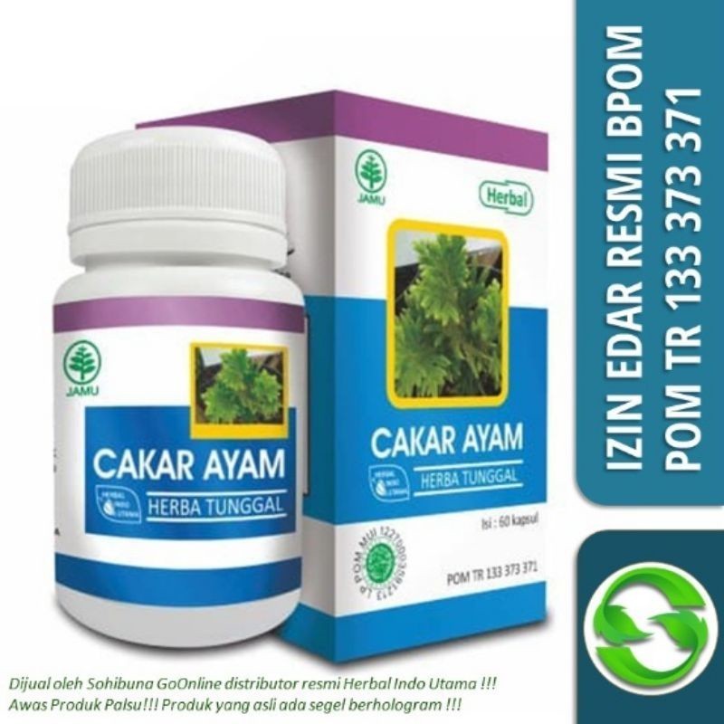 Kapsul Cakar Ayam HIU Original