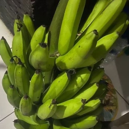 

Buah Pisang Mentah Erbe RB KG Pisang Bangkaulu Fresh