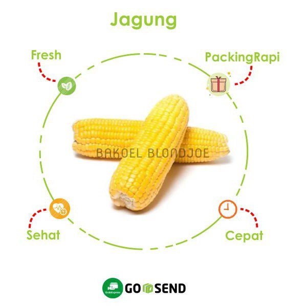 

JAGUNG LOKAL / CORN / FRESH VEGETABLES / VEGETABLE / SAYUR SAYURAN SEGAR MURAH SURABAYA