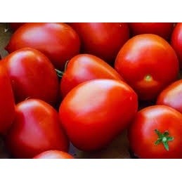 

Tomat Merah Kecil Tomat sayur segar Bandung