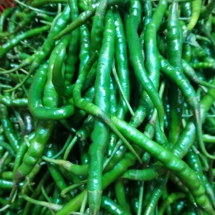 

Cabe Keriting Hijau Segar Murah Bandung