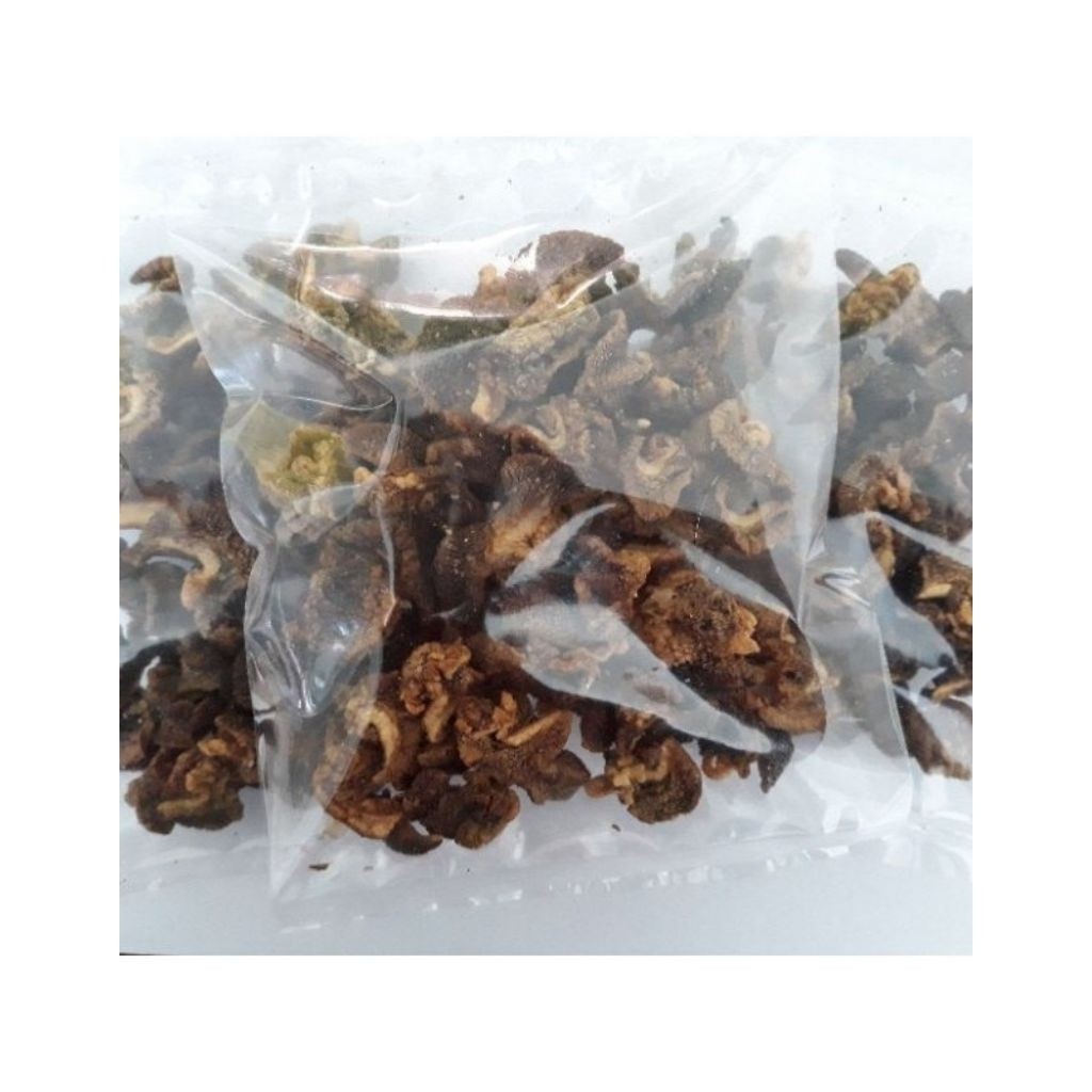 

PG SOFT [TERLARIS] DUA PUTRI ASLI KEDIRI Keripik Bekicot 02 Tanpa Bahan Pengawet