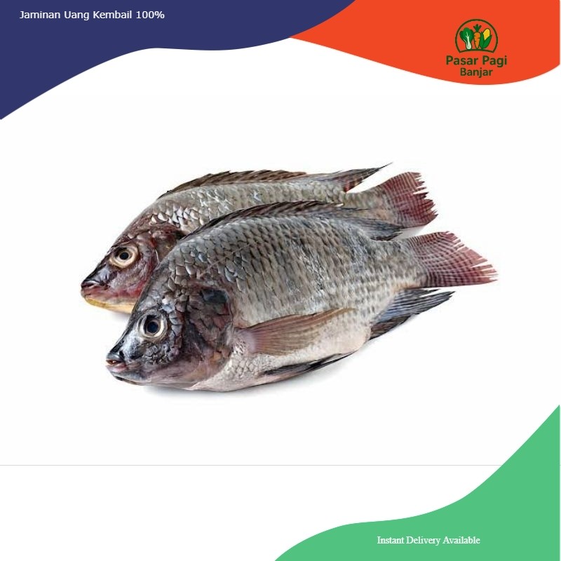 

Ikan Nila Segar / Berat 500 gram