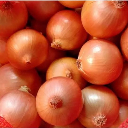 

Promo [TERMURAH] Bawang Bombay 500gr - 1kg - 500 gram