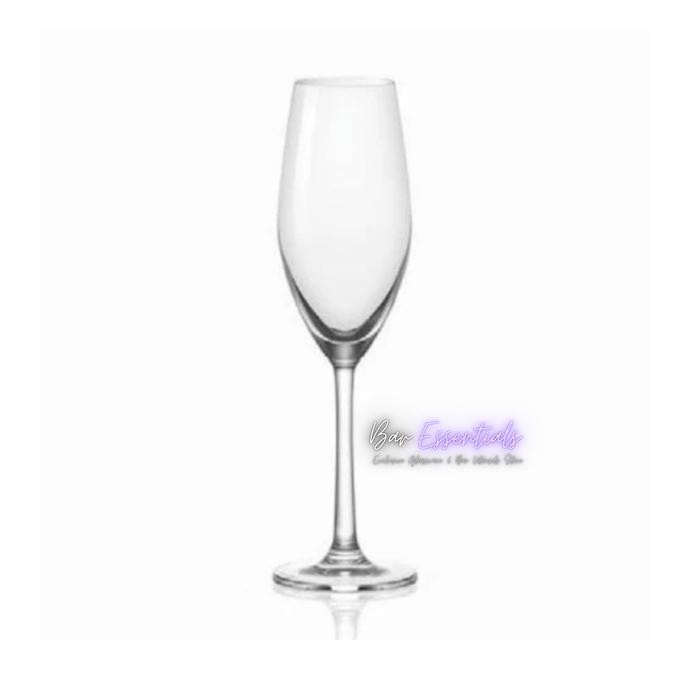 Ocean Sante Selections Wine Glass Multipurpose/Premium Wine Glass Bali - Champagne 210ml