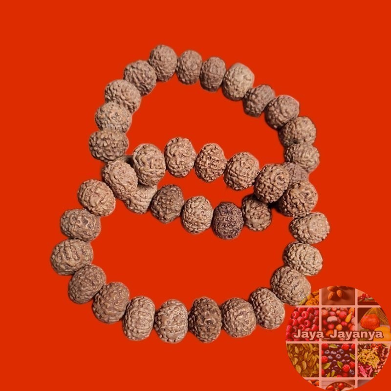 Gelang Jenitri Rudraksha Genitri Mukhi 7 Garis 7 Jaya_Jayanya