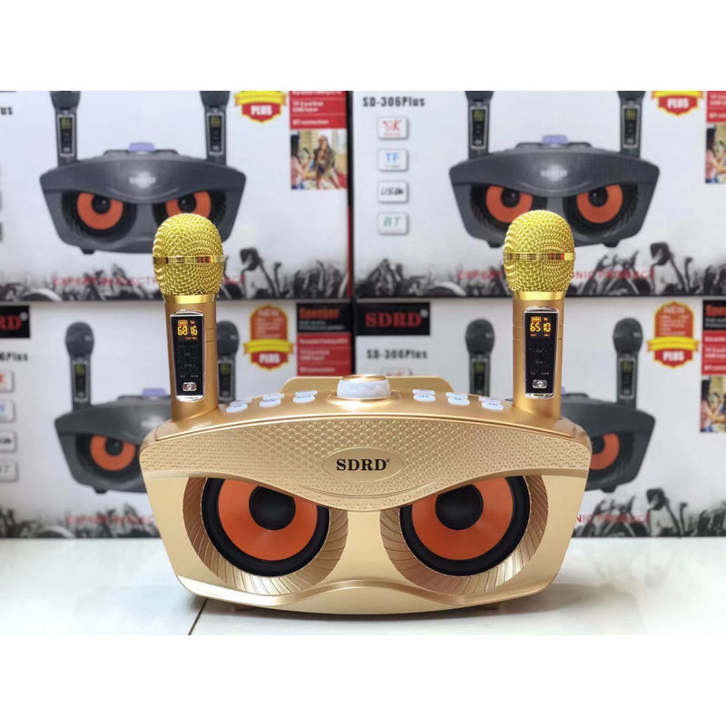 SD306Plus portable dual wireless microphone, high-power audio integrated karaoke TF/USB support, wir